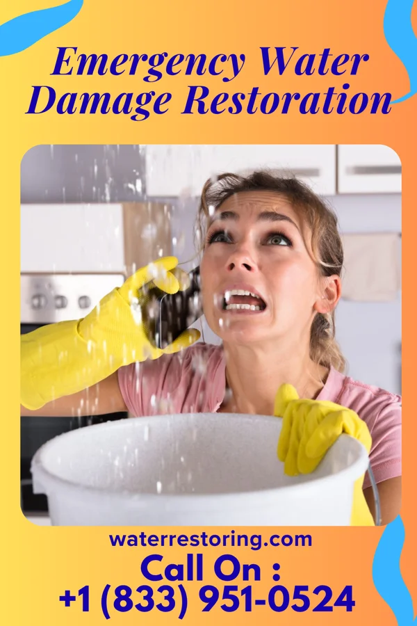 Emergency Water Damage Restoration in St. Louis, MI