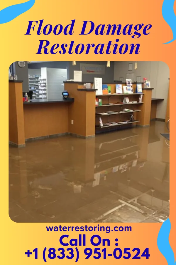Flood Damage Restoration in St. Louis, MI