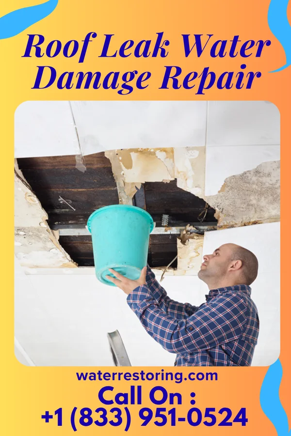 Roof Leak Water Damage Repair in St. Louis, MI