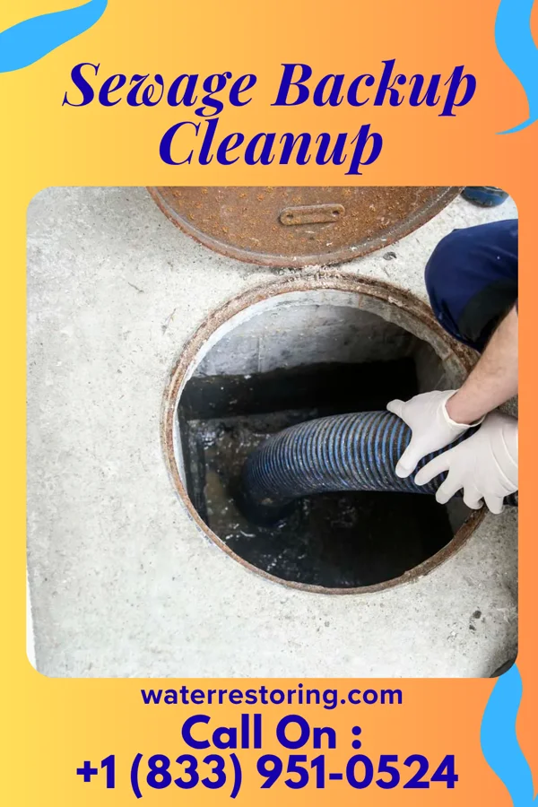 Sewage Backup Cleanup in St. Louis, MI