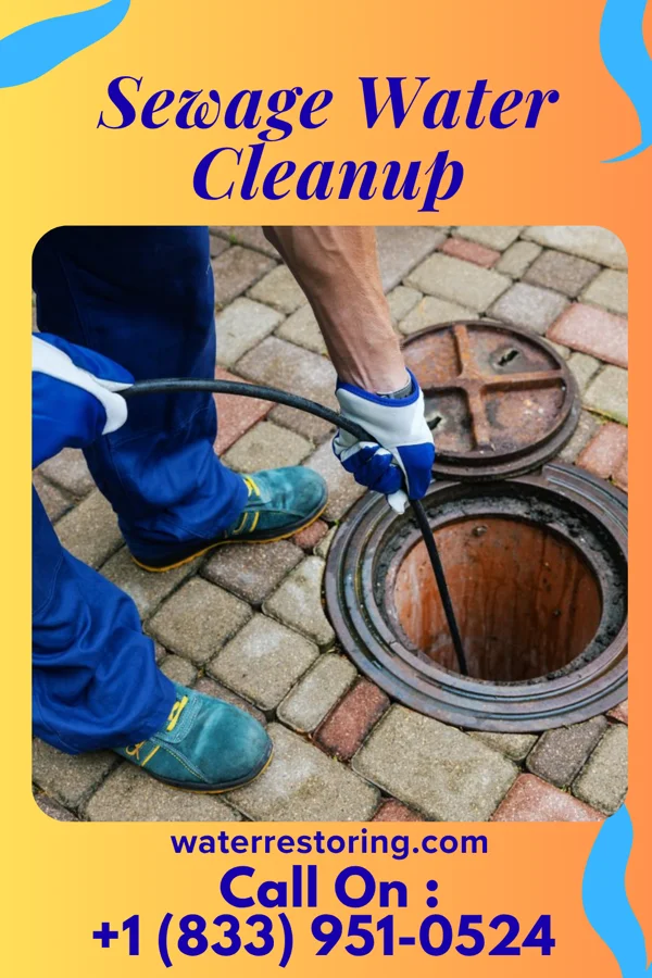 Sewage Water Cleanup in St. Louis, MI