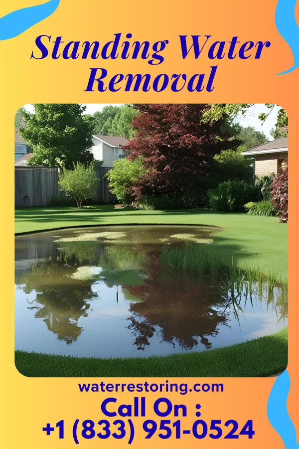 Standing Water Removal in St. Louis, MI